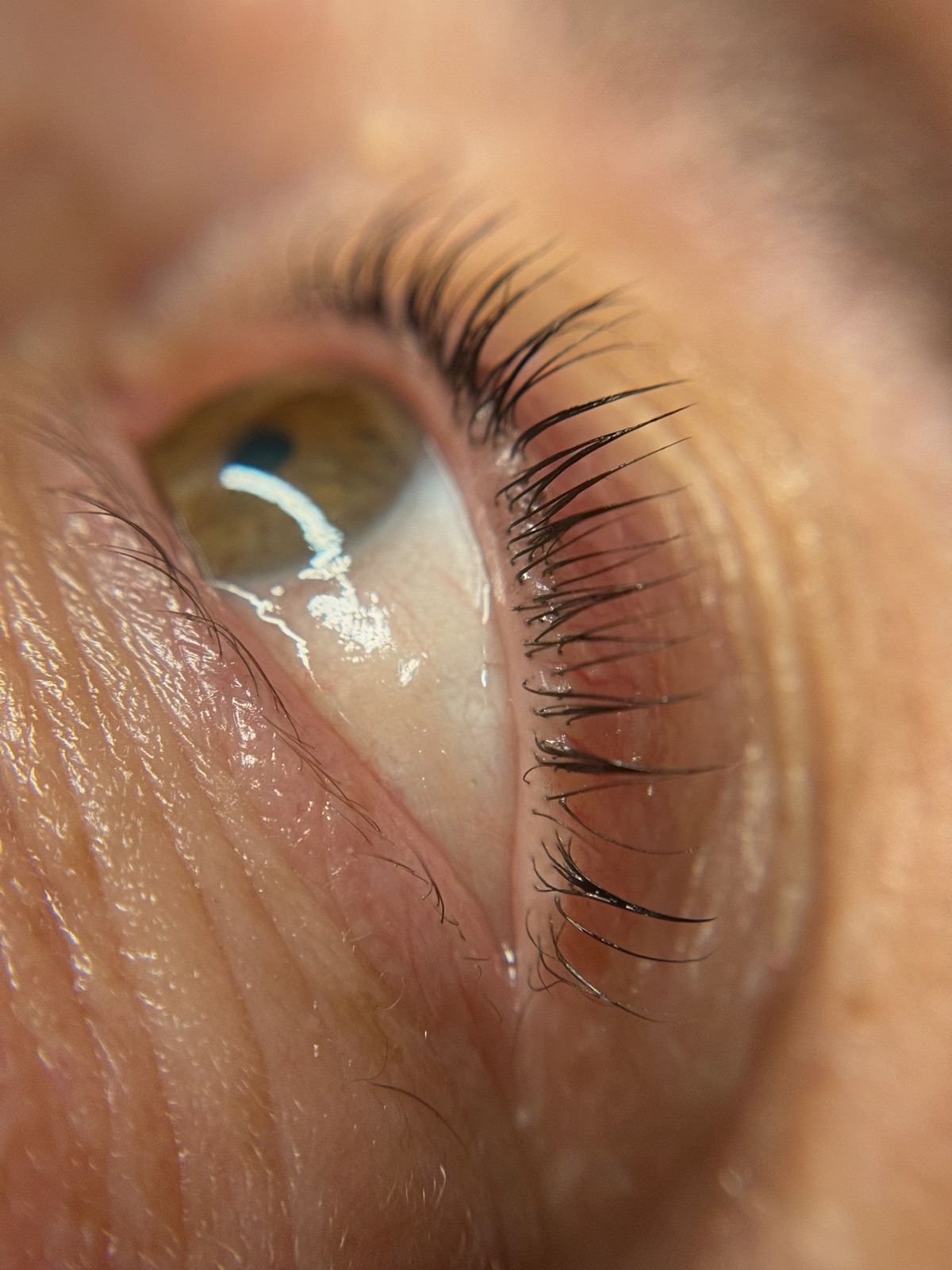 Close-up of curled natural lashes after a Lash Lift