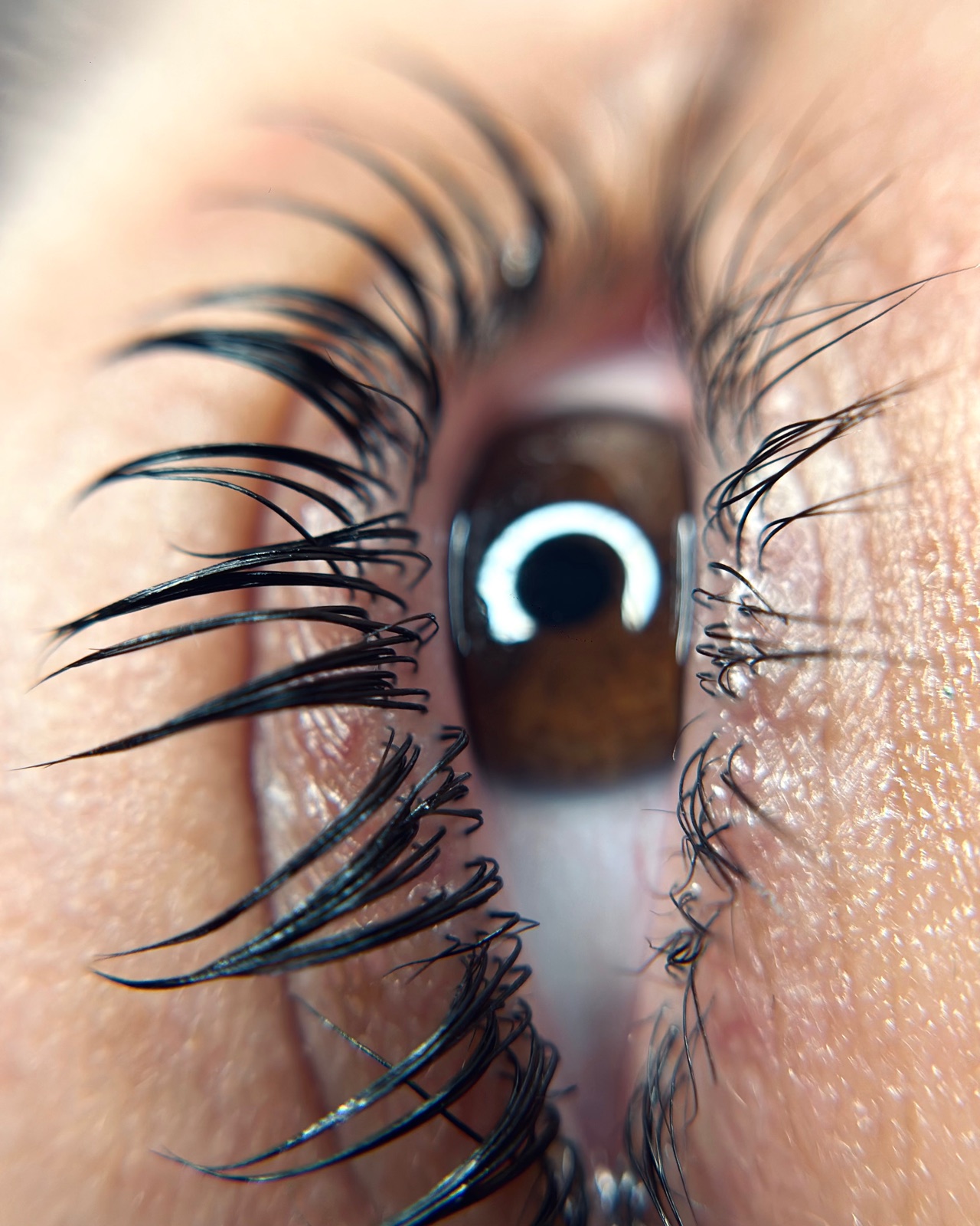 Macro close-up of lifted natural lashes